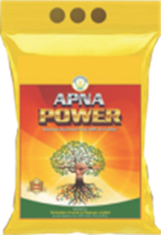 Bio Fertilizer