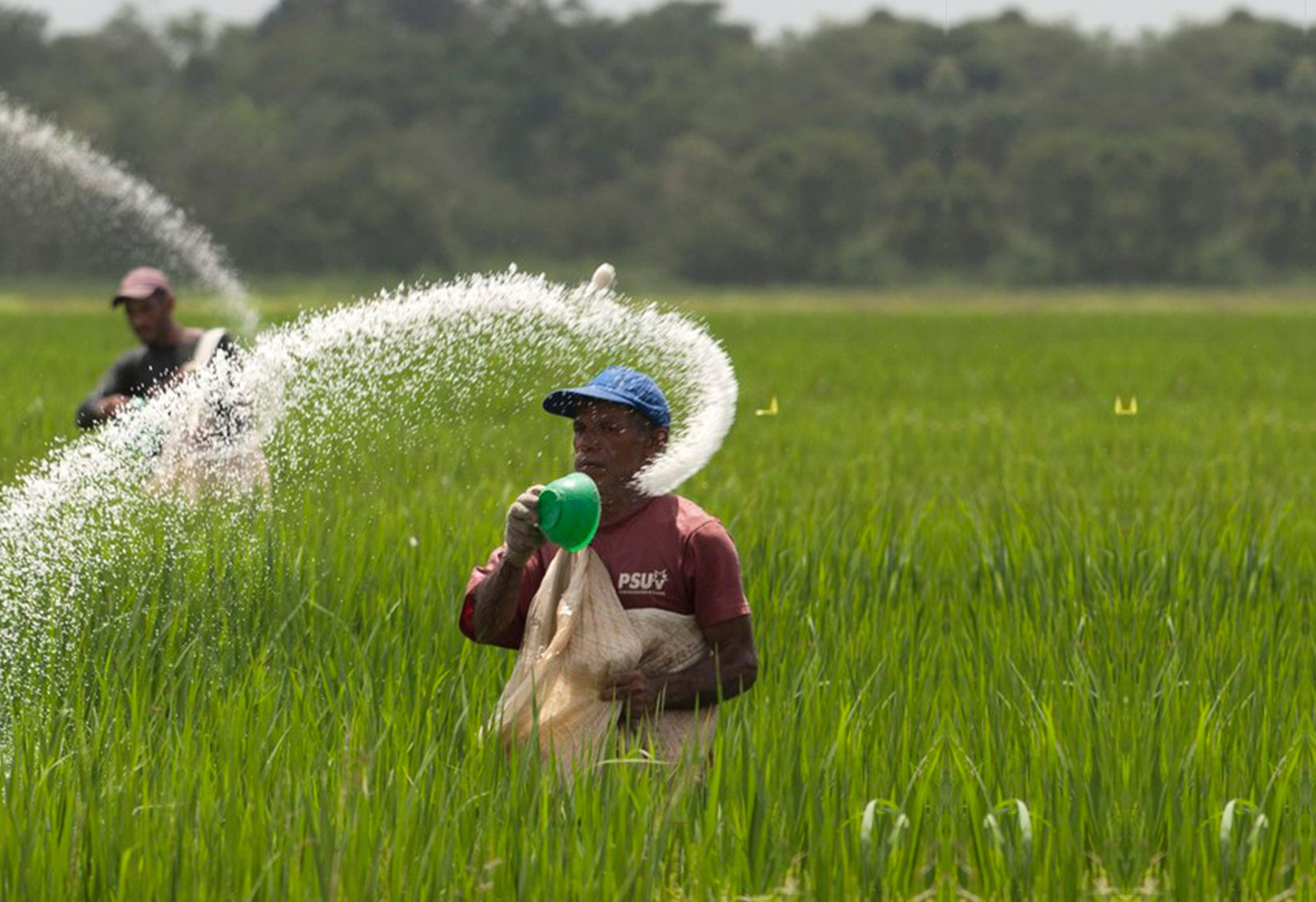 Fueling India's Agricultural Growth